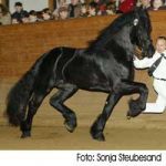 Joop