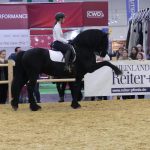 Equitana 19-13