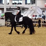 Equitana 19-5