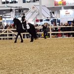 Equitana 19-6