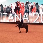 Equitana 2019