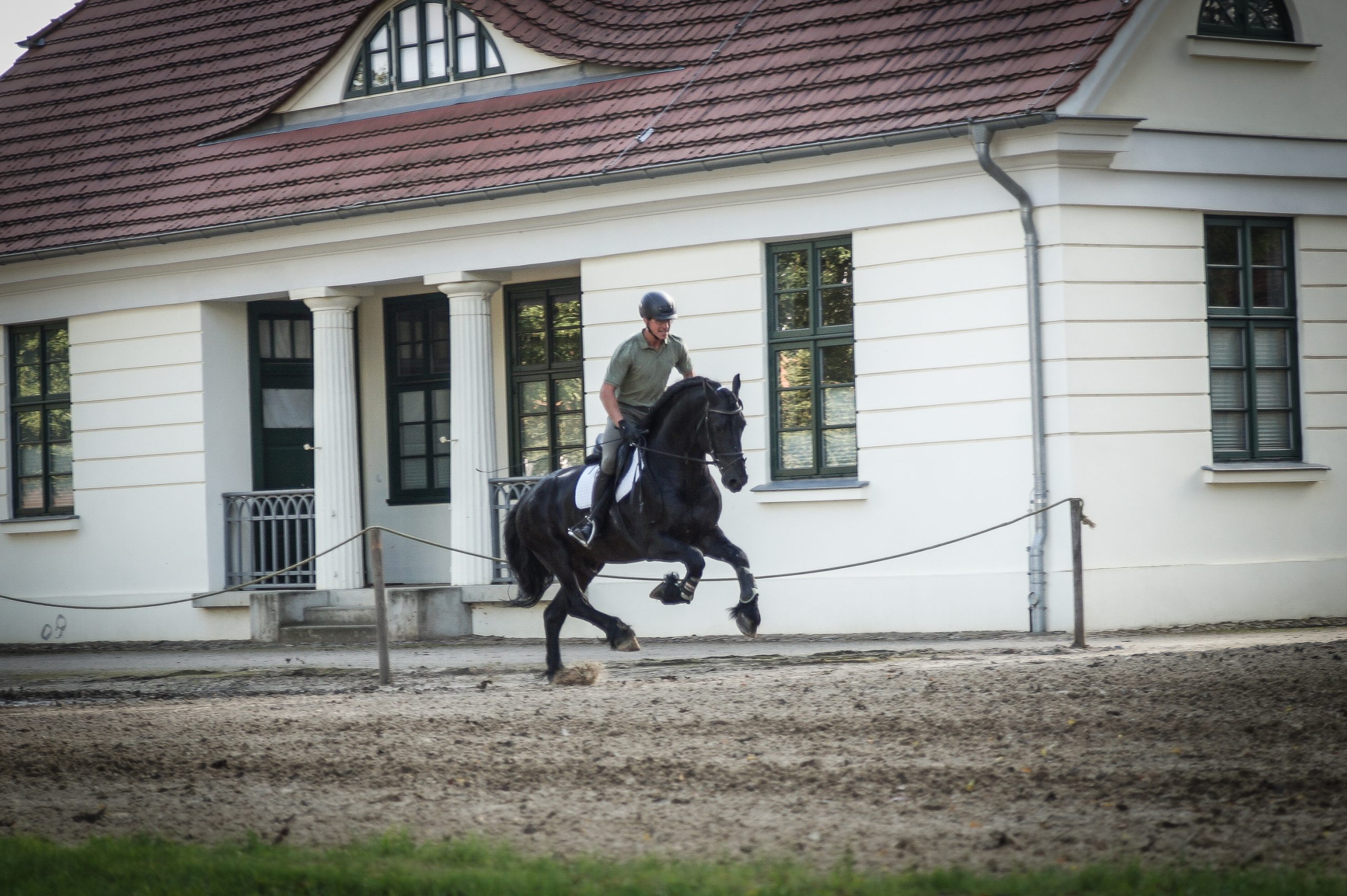 Hengstleistungsprüfung 2021, Landgestüt Redefin. Foto: ggu