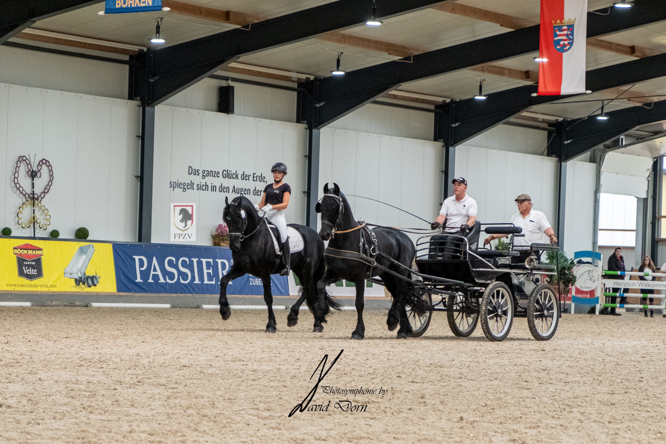 Pas des Deux Hannes G. H. und Grandus G. H. mit Helena Dickerhoff im Sattel und Heribert Gröning auf dem Kutschbock, FPZV-Hengstkörung 2022, Foto: ggu