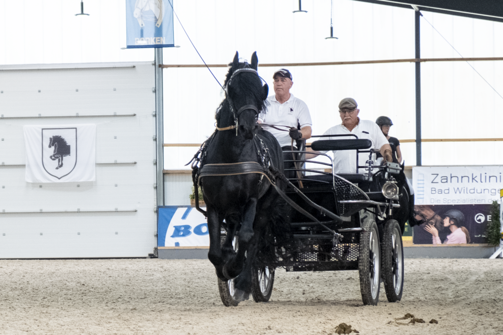 Full Speed: Heribert Gröning und Grandus G. H.