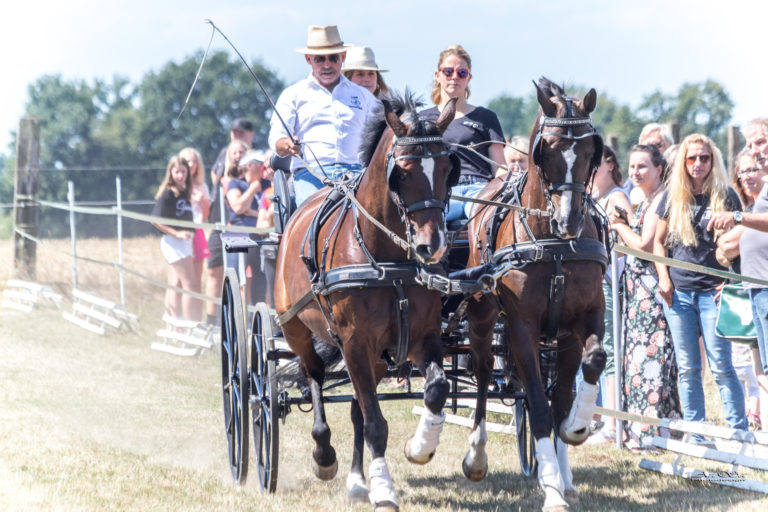 Friesentag Groenings Hof_2022_X