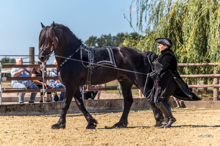 Friesentag Groeningshof_2022_II