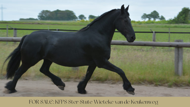 FPZV_Wieteke van de Keukenweg