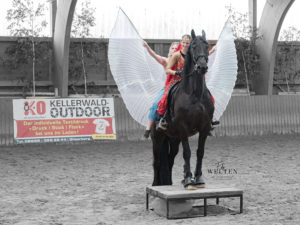 Melanie Stowasser und Shera Warlich auf FPZV Ster-Wallach Otze de Bel auf der Zuchtschau in Oberurff 2023, Foto: Dorn