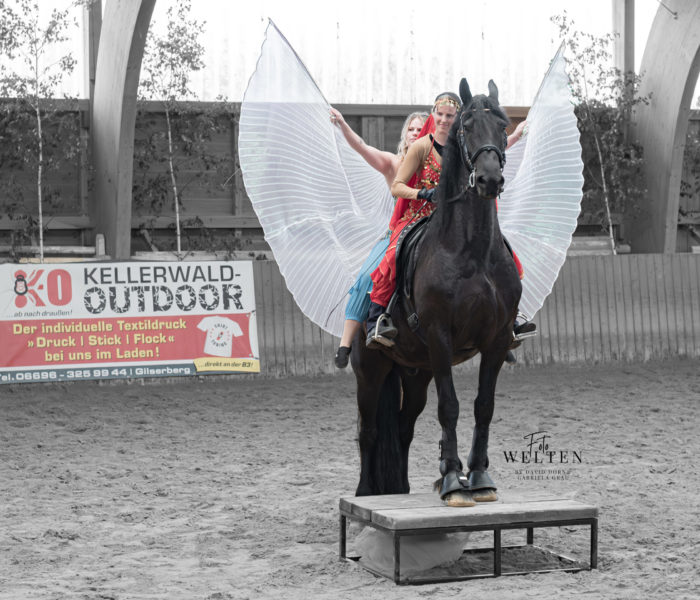 Melanie Stowasser und Shera Warlich auf FPZV Ster-Wallach Otze de Bel auf der Zuchtschau in Oberurff 2023, Foto: Dorn