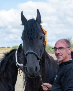 Zuchtschau Friesenhof Gröning in Marl 2025