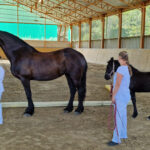 Zuchtschau Bellihof 2025_II