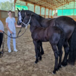 Zuchtschau Bellihof_III